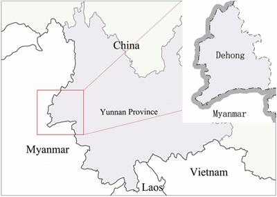 Frequently Transmission and Close Relationship Among Immigrants in the China–Myanmar Border Region Indicated by Molecular Transmission Analysis From a Cross-Sectional Data